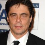 Benicio del Toro