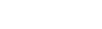 سریع و خشن 4