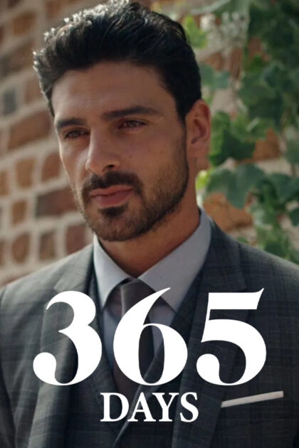 365 Days 2020 poster
