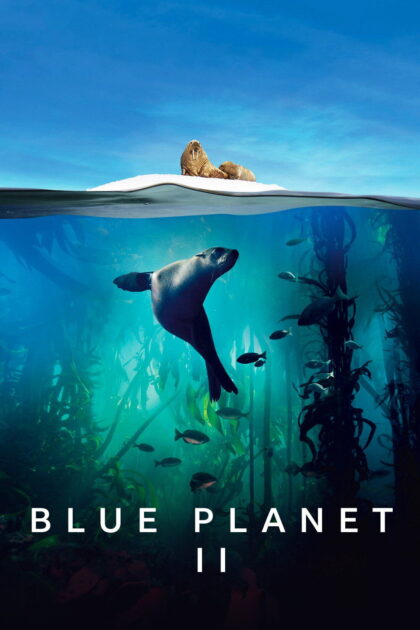 Blue Planet II 2017 poster