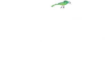 ستاره های روی زمین