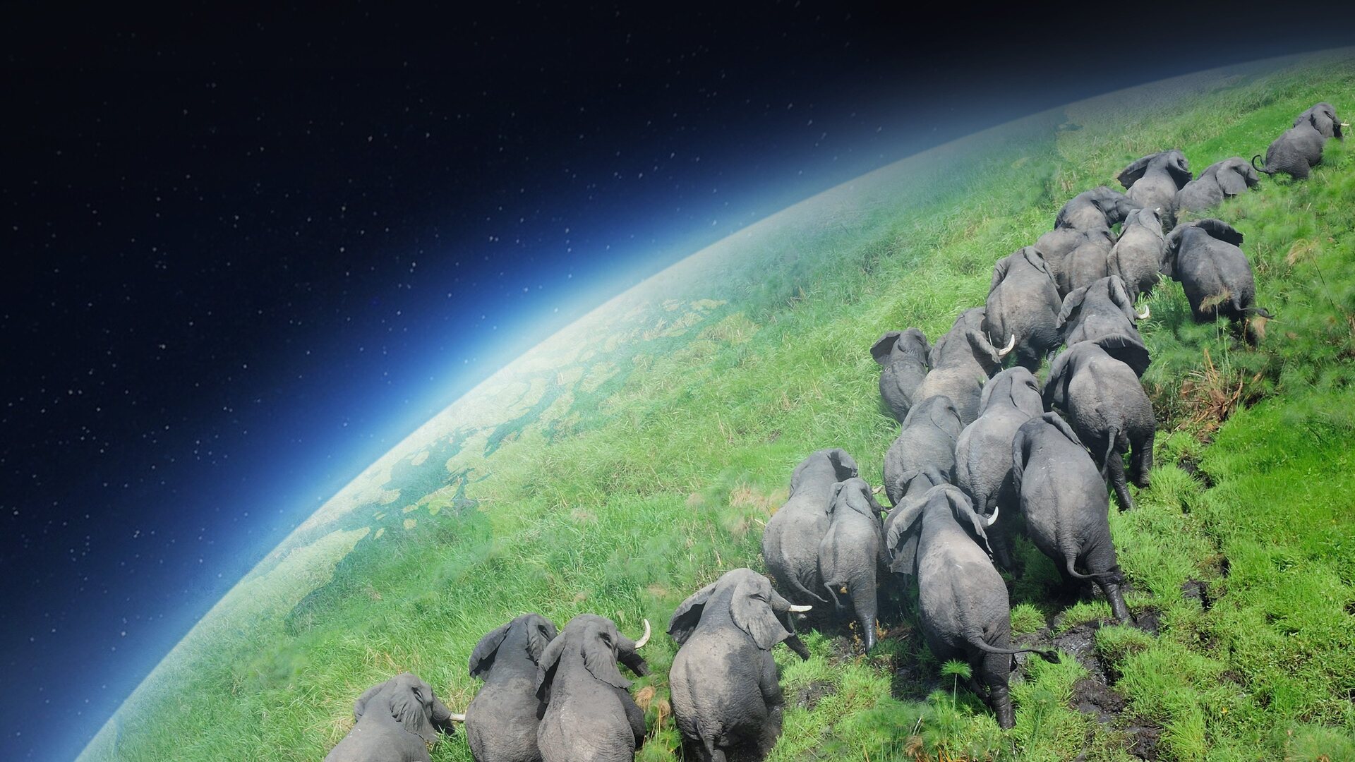 سریال سیاره زمین Planet Earth 2006