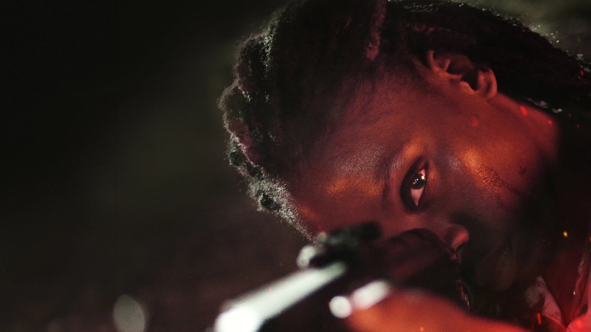 فیلم تحت تعقیب The Hunted 2024