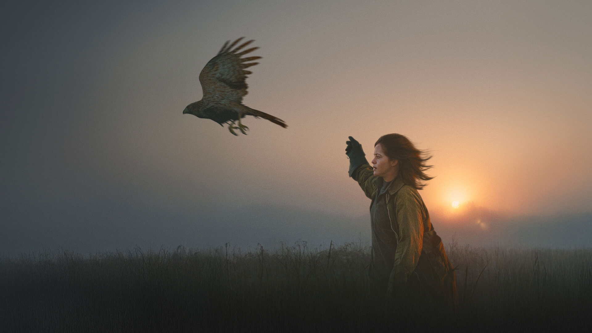 فیلم ق مثل ققنوس H Is for Hawk 2025