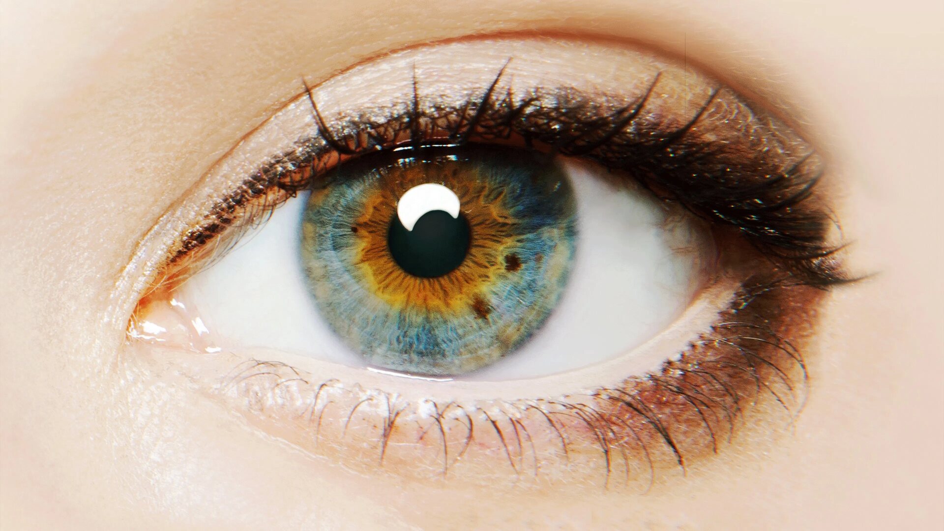 فیلم سرچشمه‌ های من I Origins 2014