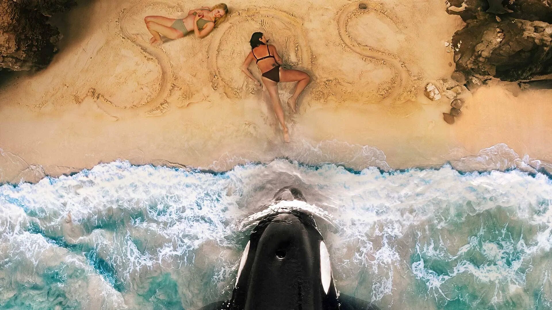 فیلم نهنگ قاتل Killer Whale 2026