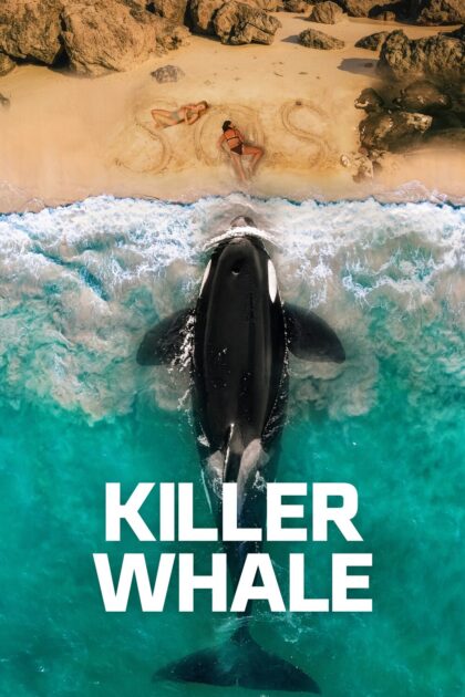 Killer Whale 2026 poster