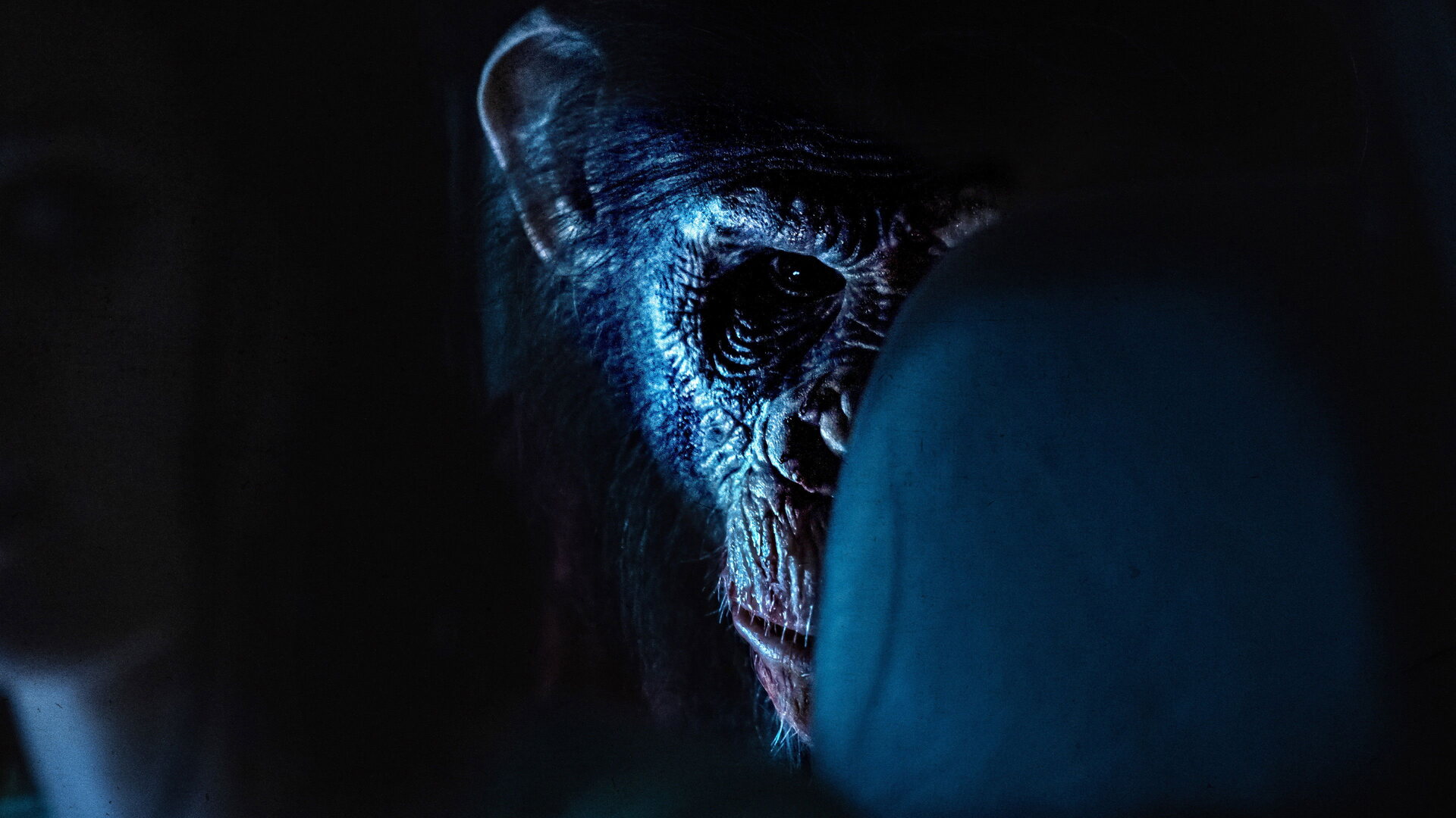 فیلم پریمات Primate 2025