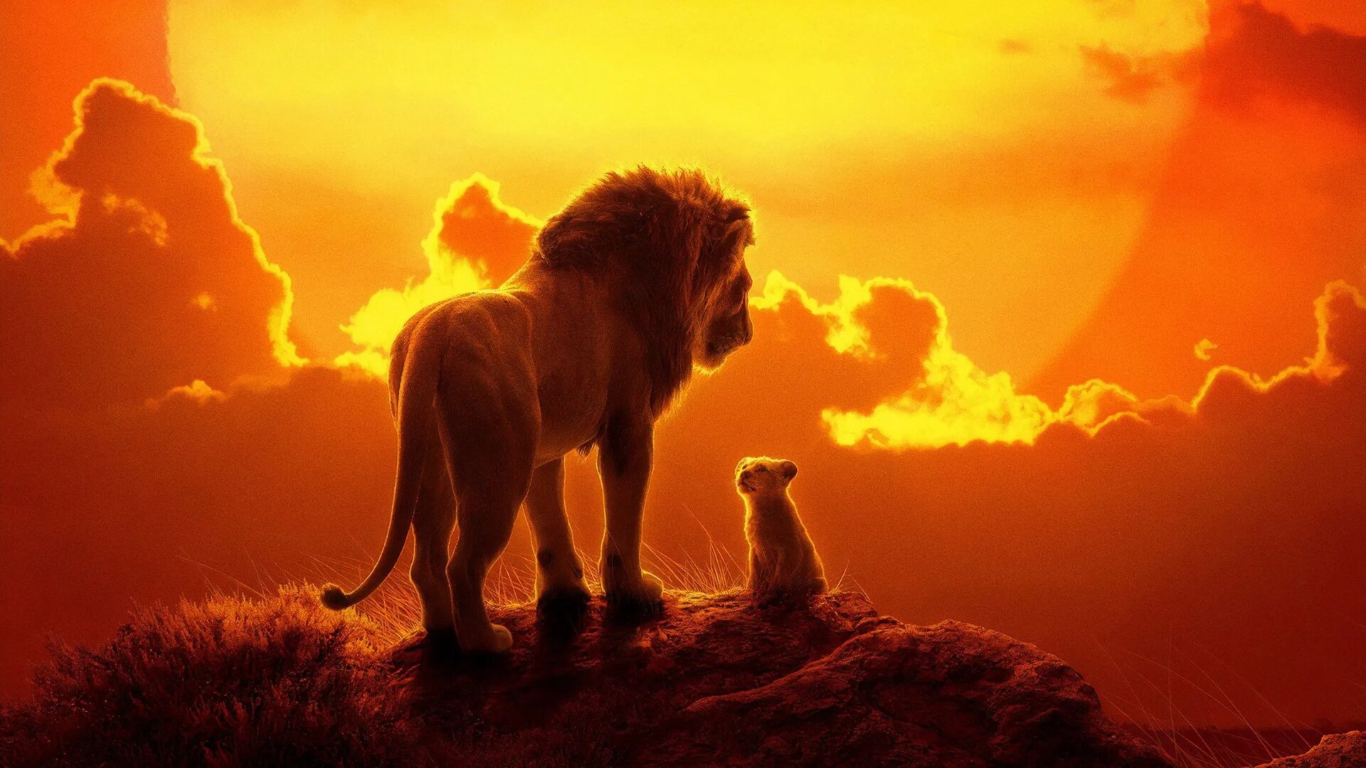 فیلم شیر شاه The Lion King 2019