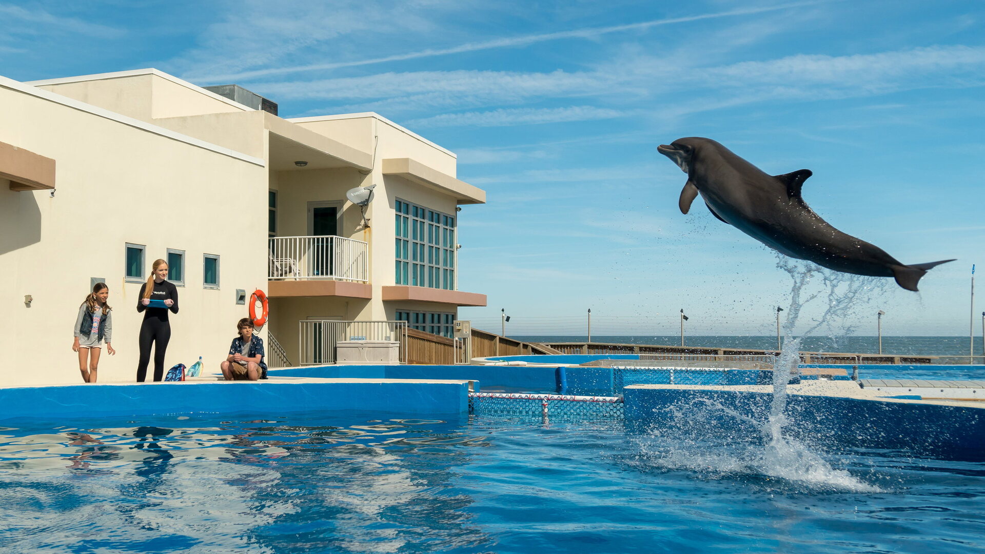 فیلم برنی دلفین Bernie The Dolphin 2018