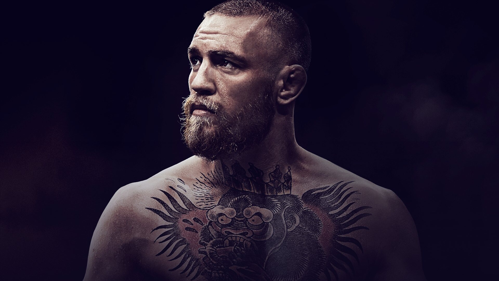 فیلم کانر مک گرگور: بدنام دانلود مستند Conor McGregor: Notorious 2017