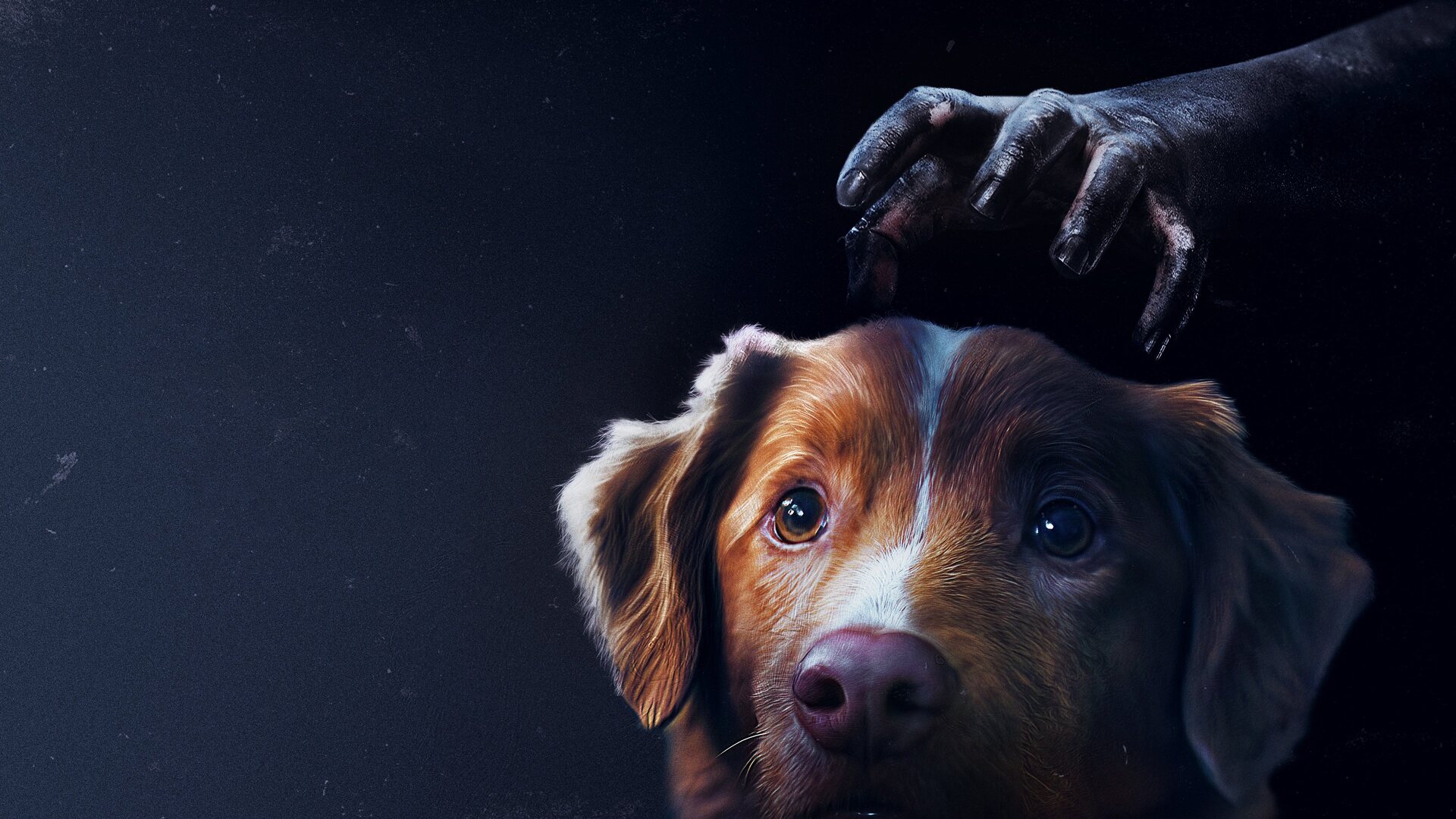 فیلم پسرخوب Good Boy 2025