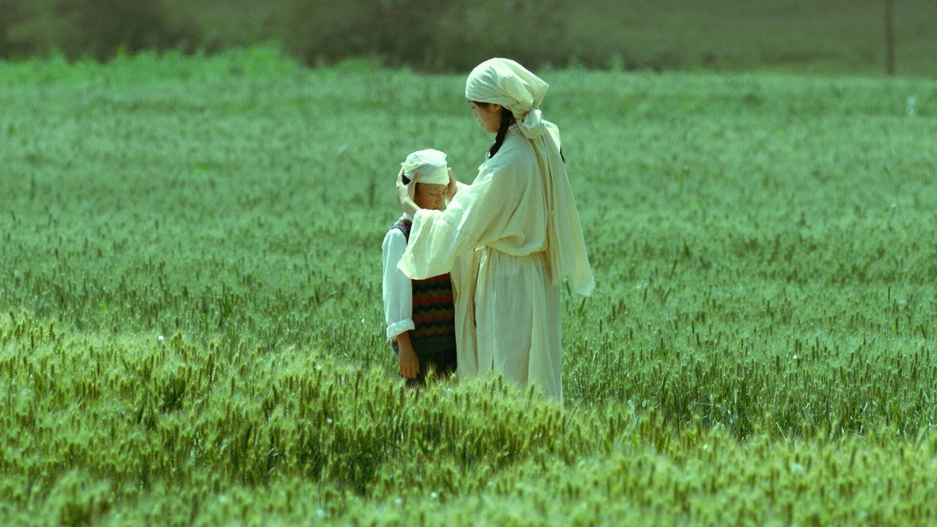 فیلم زیستن با زمین Living the Land 2025