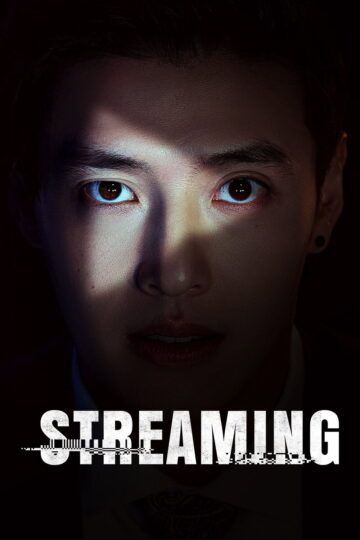 Streaming 2025 poster