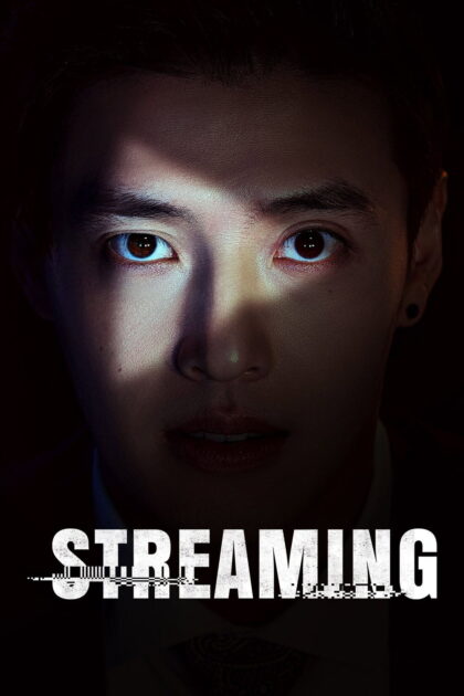 Streaming 2025 poster